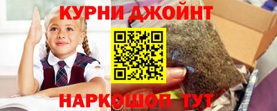 mdpv Можга