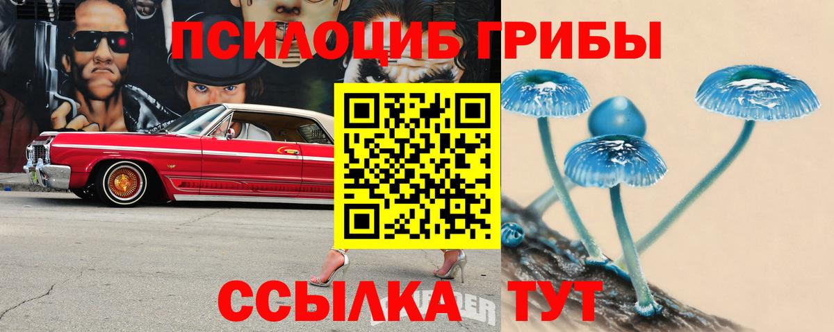 купить   Галлюциногенные грибы Cubensis  Вход с VPN  Сергиев Посад 